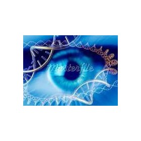 Information Research : Standard 9: BCS-CA1-9