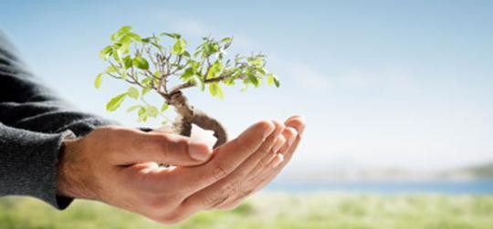 Personal Develpoment Section: Personal Information