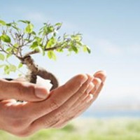 Портфолио Rosemarie Hunter