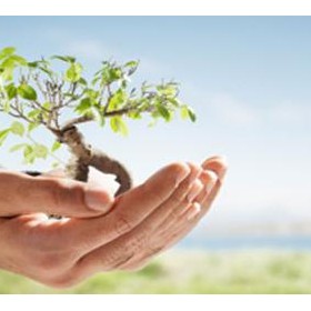 Personal Develpoment Section: Personal Information